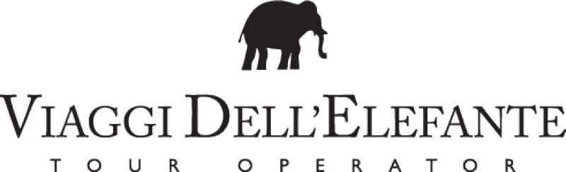 viaggi dell'elefante